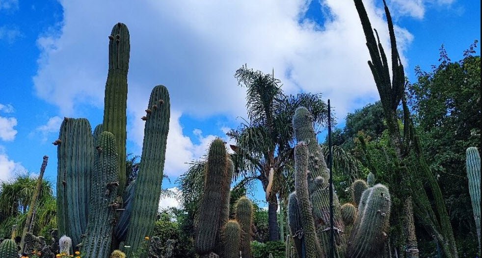 Giardini Ravino, Forio, Italy, Italy